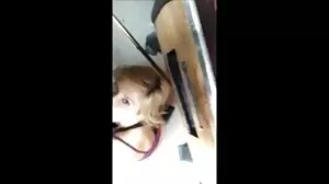 Remaja Zoey Monroe mendapat pussy dikunyah oleh ibu milf jolok tumblr Cherie Deville