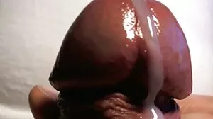 Apabila pencuri bertemu dengan isteri tudung lucah awek seksi