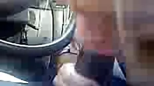 Bogel