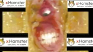 Exploitedteensasia